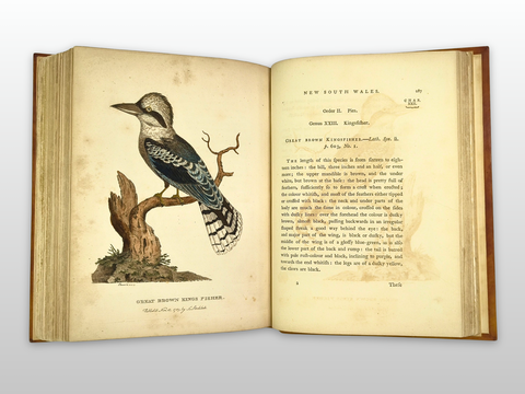 The Voyage of Governor Philip to Botany Bay (First Trade Edition)