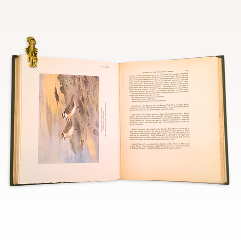 Nicoll's Birds of Egypt, 2 volumes (First Edition)
