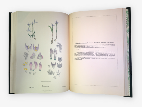Australian Orchids, 2 volumes (Limited Facsimile Edition)