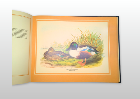 The Wildfowl Paintings of Henry Jones (Limited First Edition, Signed)