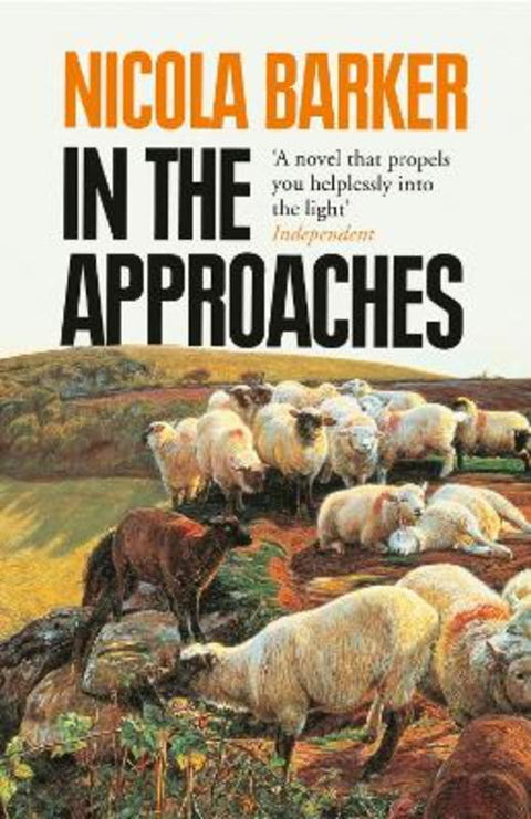 In the Approaches by Nicola Barker - 9780007583720