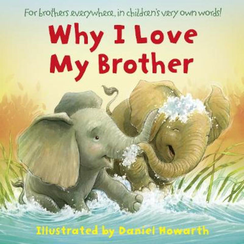 Why I Love My Brother by Daniel Howarth - 9780008423056