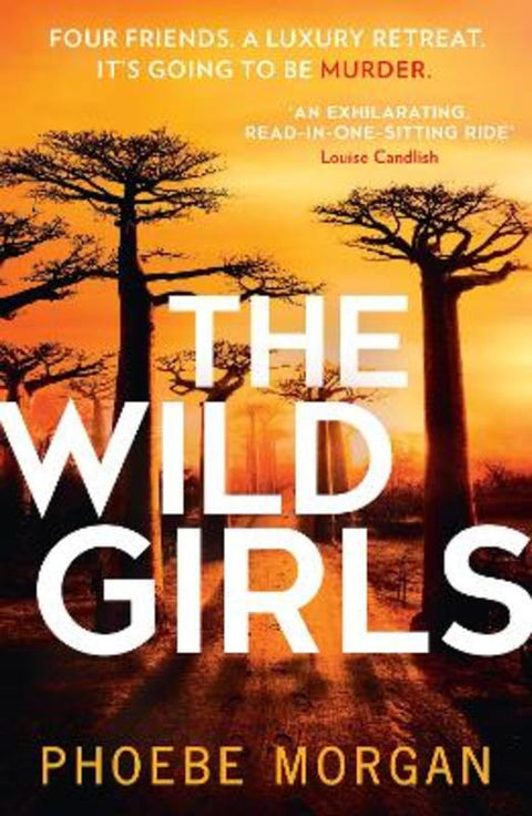 The Wild Girls by Phoebe Morgan - 9780008431068