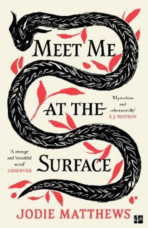 Meet Me at the Surface by Jodie Matthews - 9780008585051