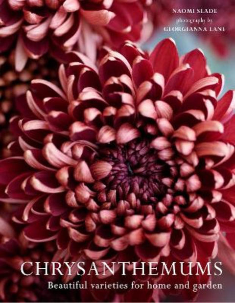 Chrysanthemums by Naomi Slade - 9780008662738