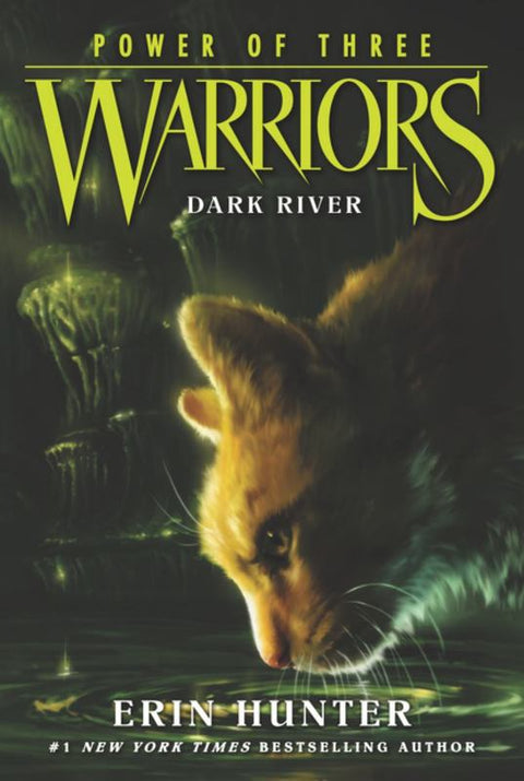 Warriors: Power of Three #2: Dark River by Erin Hunter - 9780062367099