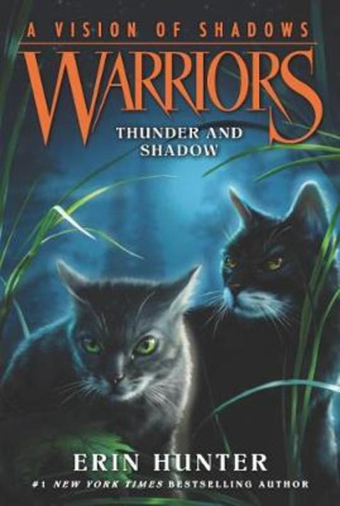 Warriors: A Vision of Shadows #2: Thunder and Shadow by Erin Hunter - 9780062386434