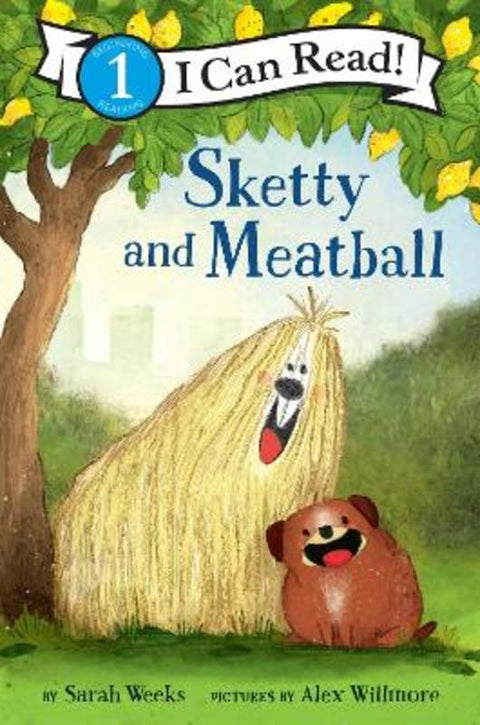 Sketty and Meatball by Sarah Weeks - 9780062431615