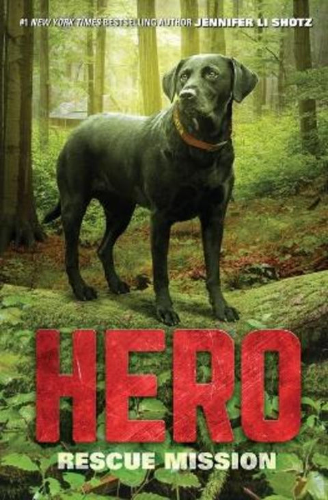 Hero: Rescue Mission by Jennifer Li Shotz - 9780062560452