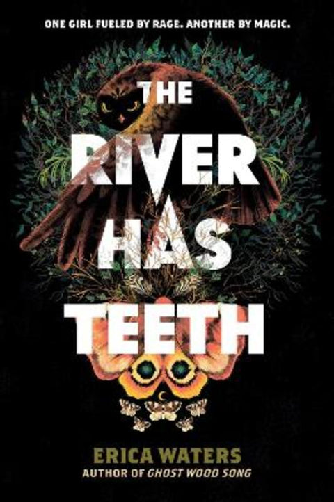 The River Has Teeth by Erica Waters - 9780062894267