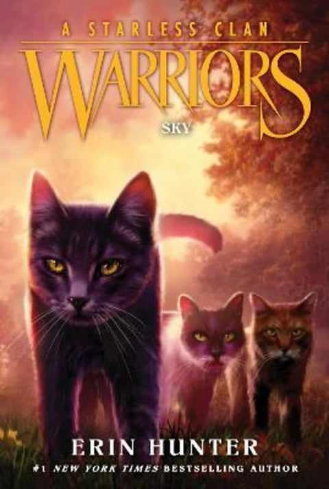Warriors: A Starless Clan #2: Sky by Erin Hunter - 9780063050174