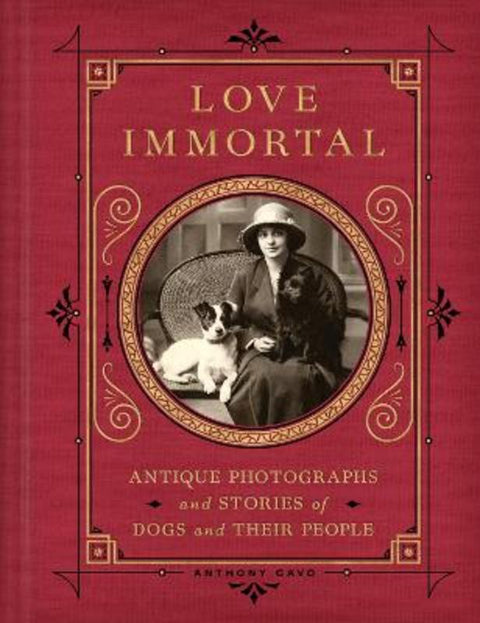 Love Immortal by Anthony Cavo - 9780063204294