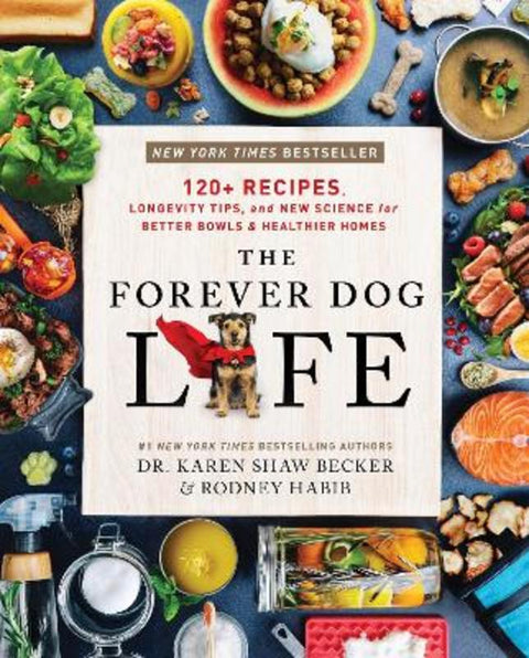 The Forever Dog Life by Rodney Habib - 9780063314009
