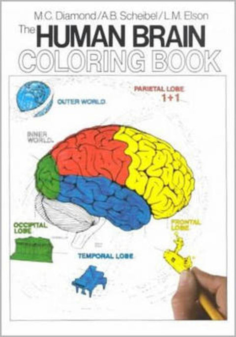 The Human Brain Coloring Book by Marian C. Diamond - 9780064603065