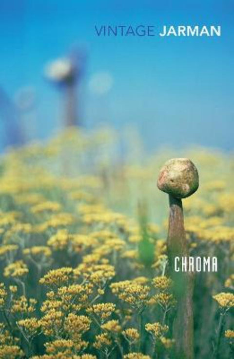 Chroma by Derek Jarman - 9780099474913