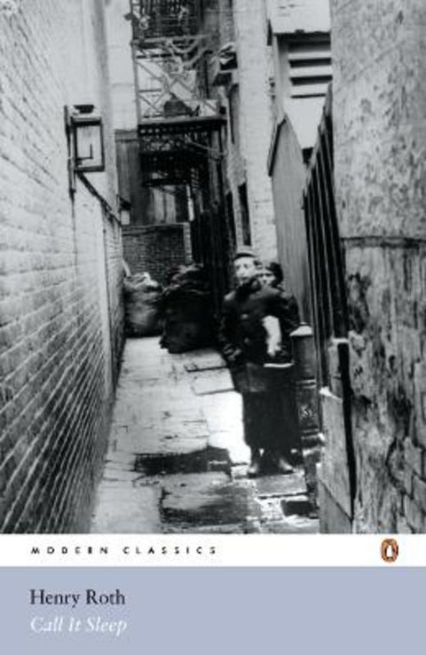 Call it Sleep from Henry Roth - Harry Hartog gift idea