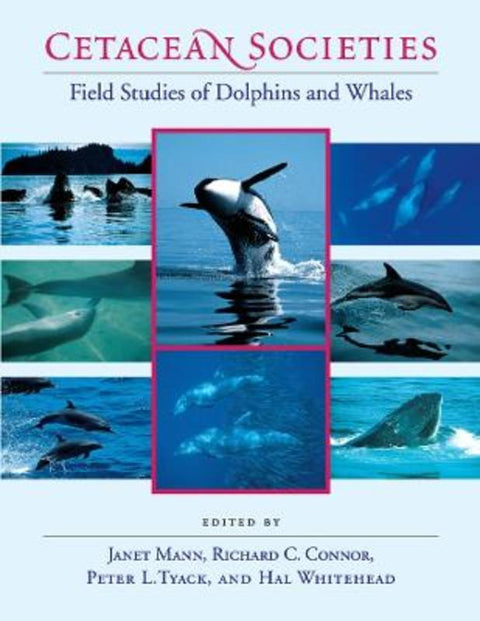 Cetacean Societies by Janet Mann - 9780226503417