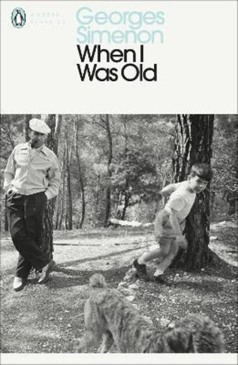 When I Was Old by Georges Simenon - 9780241213131