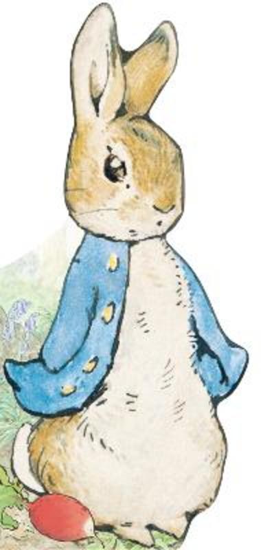 All About Peter by Beatrix Potter - 9780241324554