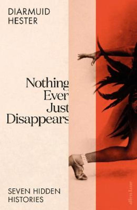 Nothing Ever Just Disappears by Diarmuid Hester - 9780241528457