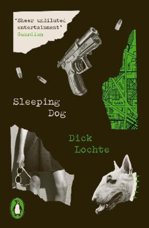 Sleeping Dog by Dick Lochte - 9780241656921