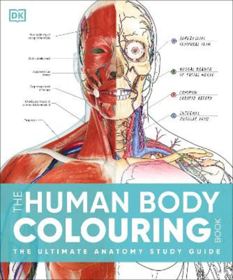 The Human Body Colouring Book by DK - 9780241664537