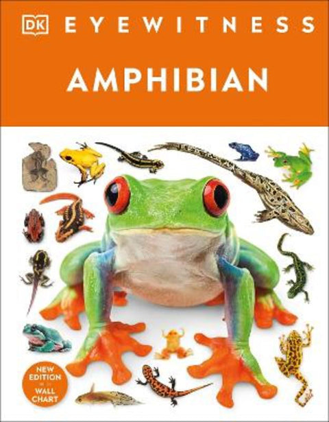 Eyewitness Amphibian from DK - Harry Hartog gift idea