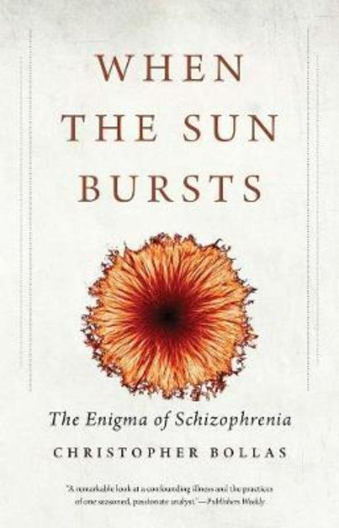 When the Sun Bursts by Christopher Bollas - 9780300223651