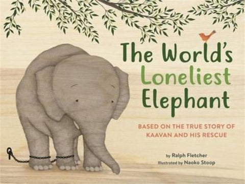 The World's Loneliest Elephant by Ralph Fletcher - 9780316364591