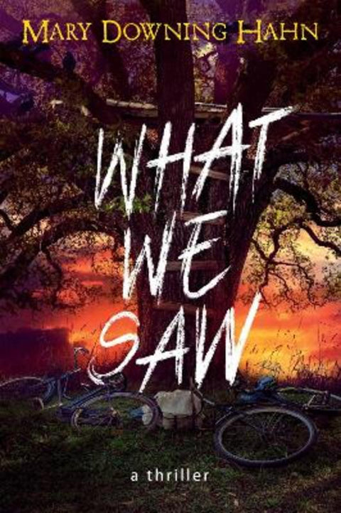 What We Saw by Mary Downing Hahn - 9780358697312