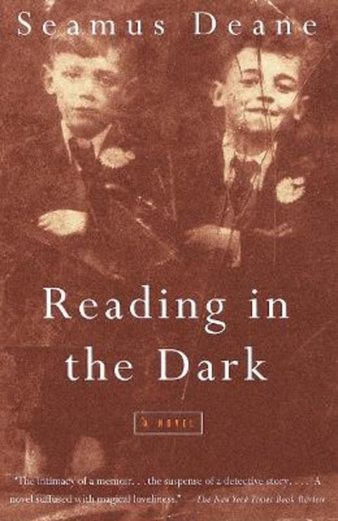 Reading in the Dark by Seamus Deane - 9780375700231
