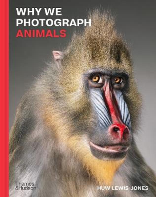 Why We Photograph Animals by Huw Lewis-Jones - 9780500022726