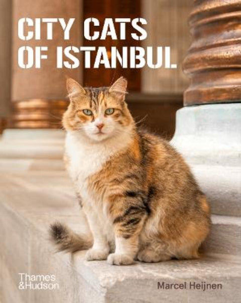 City Cats of Istanbul by Marcel Heijnen - 9780500298411