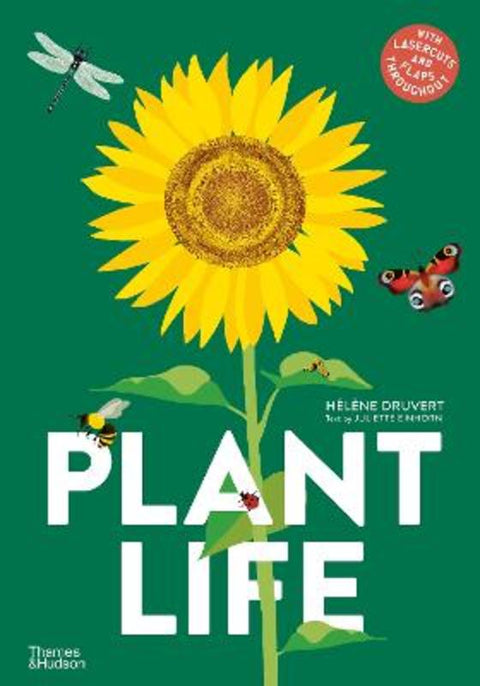 Plant Life from Helene Druvert - Harry Hartog gift idea
