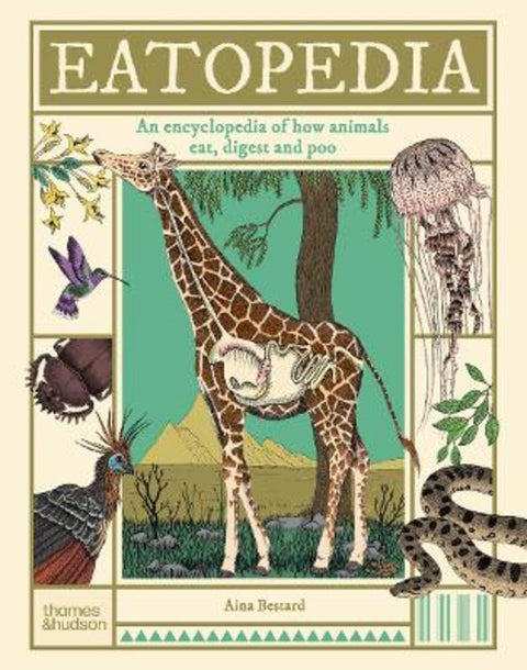 Eatopedia from Aina Bestard - Harry Hartog gift idea