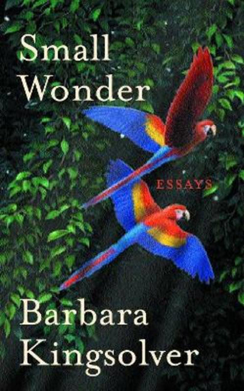 Small Wonder by Barbara Kingsolver - 9780571215775