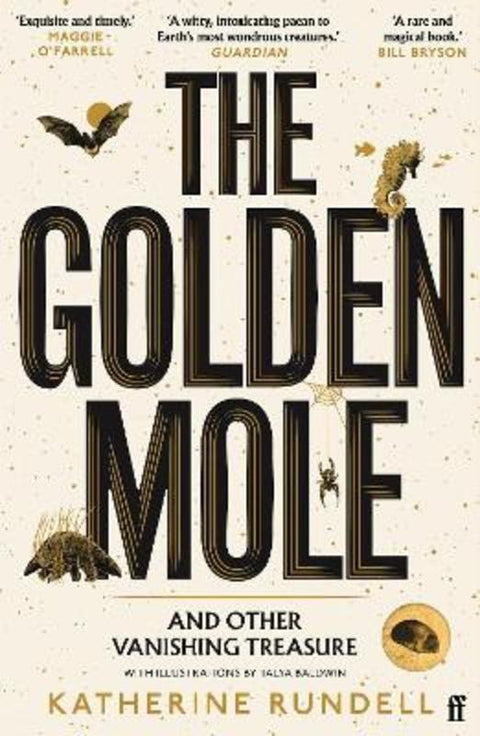 The Golden Mole by Katherine Rundell - 9780571362509