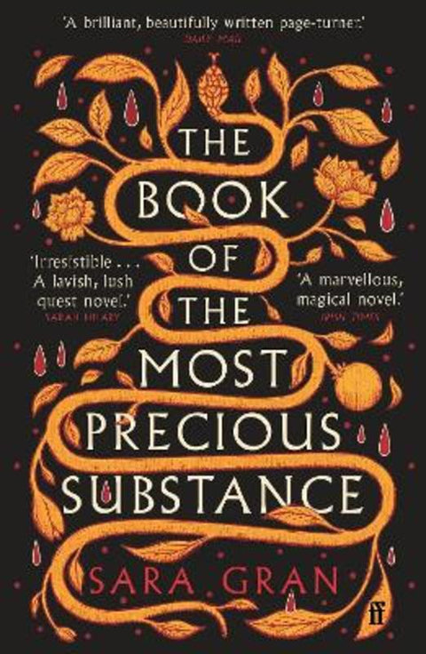 The Book of the Most Precious Substance by Sara Gran - 9780571375622