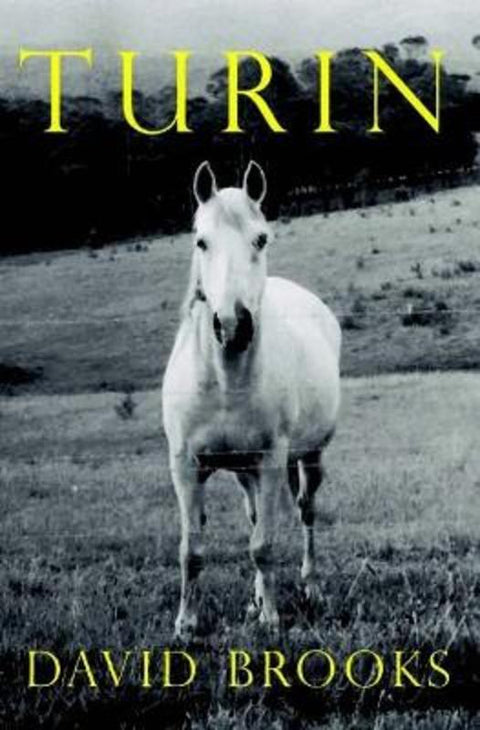 Turin by David Brooks - 9780645235012
