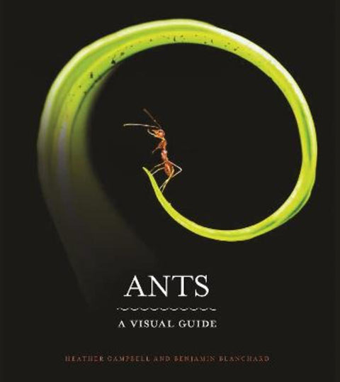 Ants by Heather Campbell - 9780691228525