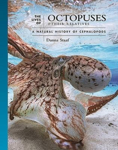The Lives of Octopuses and Their Relatives by Danna Staaf - 9780691244303