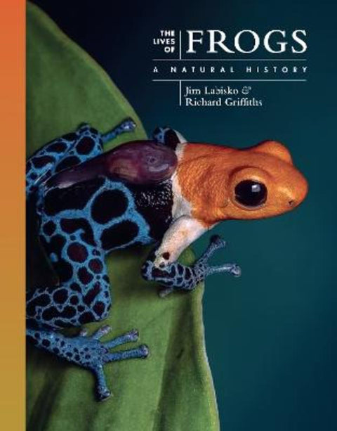 The Lives of Frogs by Dr. Jim Labisko (Lecturer in Biodiversity) - 9780691255019