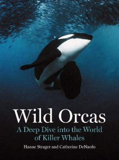Wild Orcas by Hanne Strager - 9780691269849