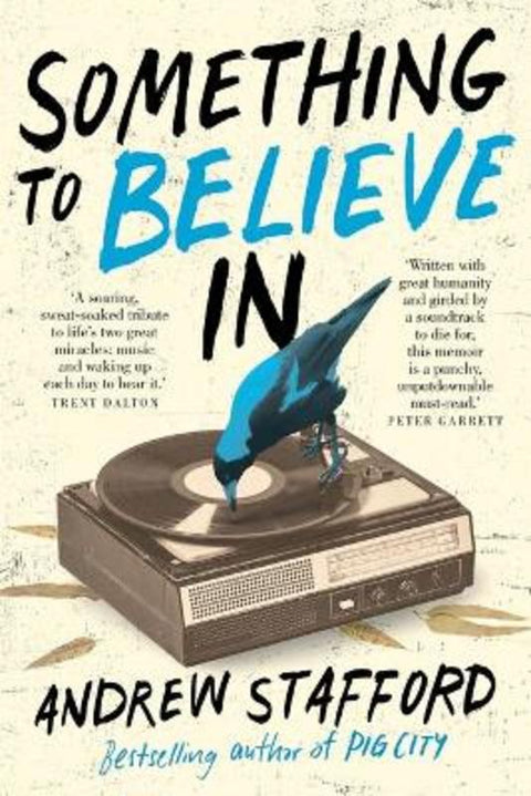 Something to Believe In by Andrew Stafford - 9780702262531