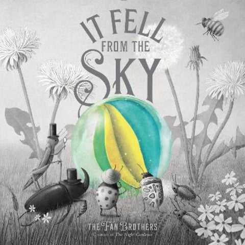 It Fell From The Sky by Terry Fan - 9780711270657