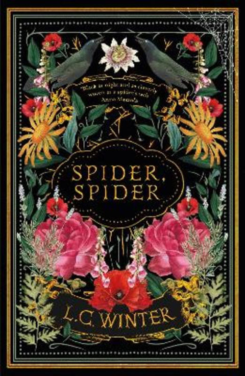 Spider, Spider by L.C. Winter - 9780715655825