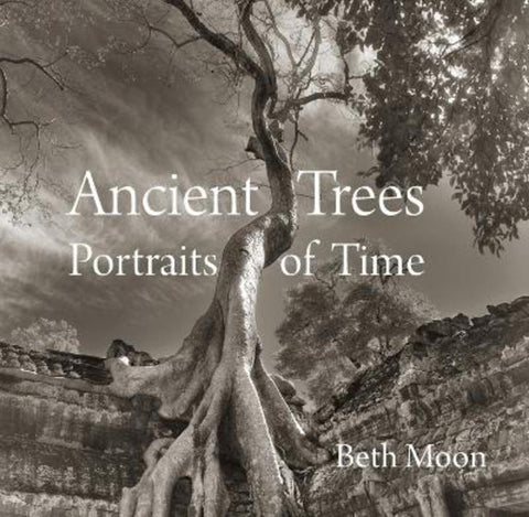 Ancient Trees by Beth Moon - 9780789211958