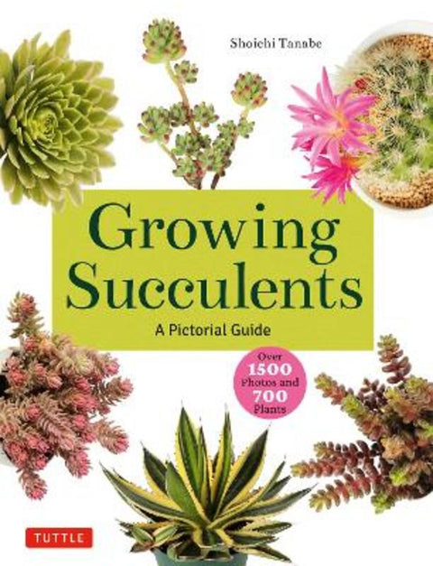 Growing Succulents by Shoichi Tanabe - 9780804855532