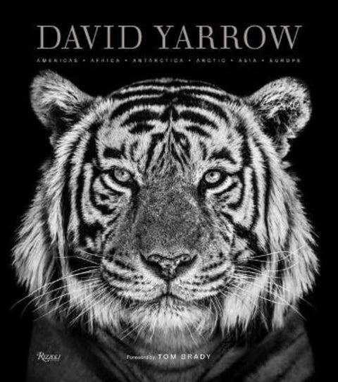 David Yarrow Photography by David Yarrow - 9780847864775