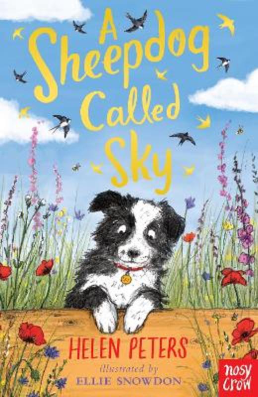 A Sheepdog Called Sky by Helen Peters - 9780857639110